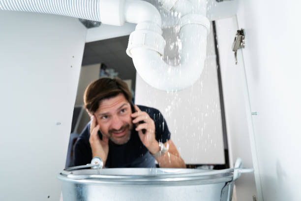 Best Same-Day Plumbing Service  in Bargersville, IN
