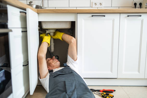Best Clogged Drain Plumber  in Bargersville, IN