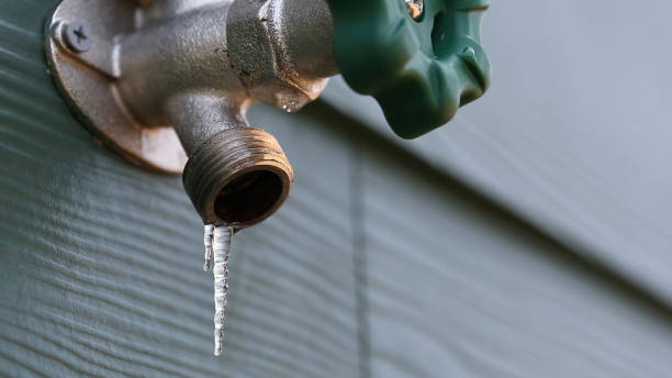 Best Sewer Line Replacement  in Bargersville, IN